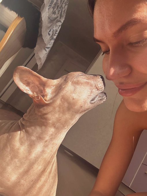 show us your pets 🥰 https://t.co/r7BT2grAMM