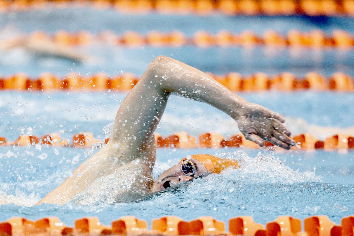 Jack Little tweet media