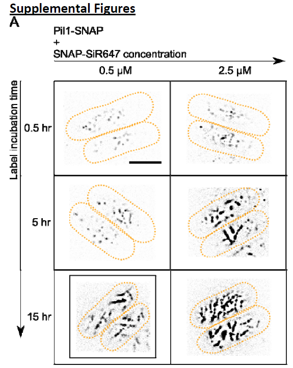 Berro Lab 🔬📏📉💻 tweet media