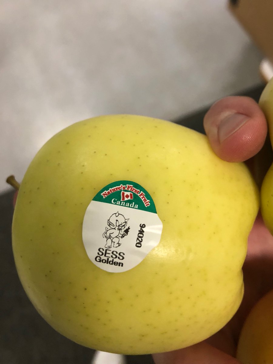 Thanks to Cawston Cold Storage for hosting our grade 6/7 students on Friday! What an incredible facility and a great experience for our students! #SESSProud #SD53 @SSimilkameen