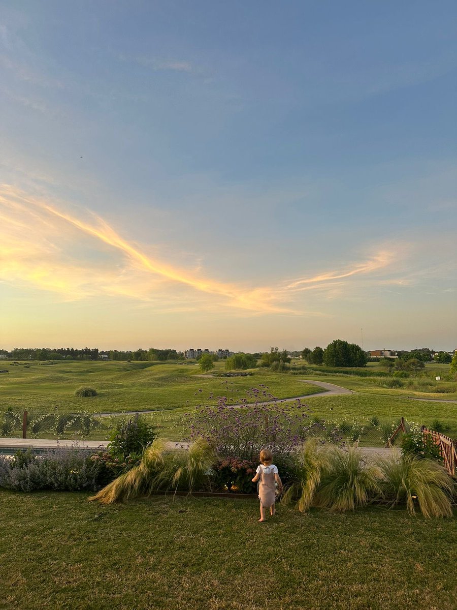 No se ustedes pero yo veo el logo de LLA