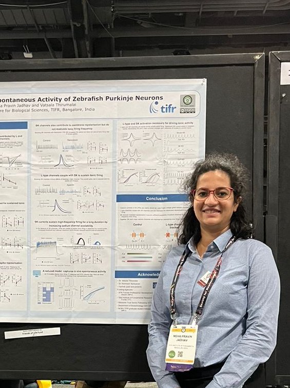 I had the opportunity to present my PhD work at #SfN23. My very first time at an SfN meeting and the United States!
#AcademicTwitter #neuroscience #zebrafish