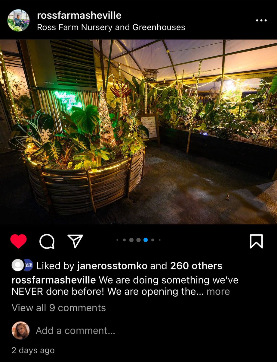 _carlytomko's tweet photo. @blairadowler I follow an account that my cousin runs called Ross Farm. They recently posted a ton of plant nursery pictures with a ton of string lights. I liked this post and engaged with the post by liking it. I love the colors and lights they added! #mktg475 https://t.co/91uUBs4igx