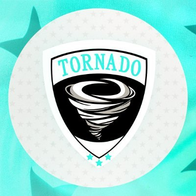 In celebration of a 1O-O swiss stage, @joobivevo has been officially promoted from Assistant Coach to Defensive Coordinator! Congratulations Enrique! #PTWIN #MakeACrawler #Tornado115