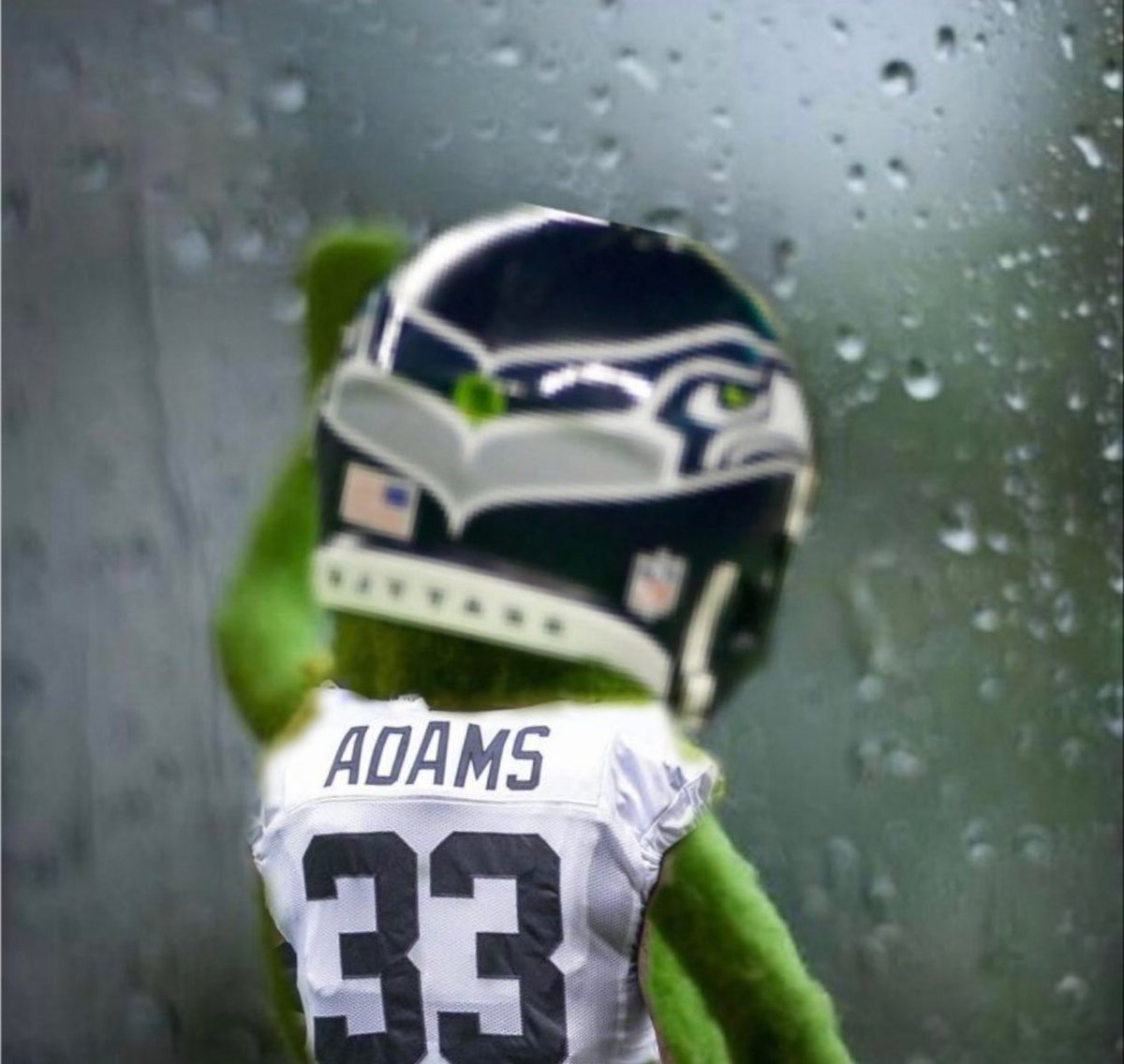 NoiseyOG's tweet photo. Pain #Seahawks https://t.co/YjocB6lZQM