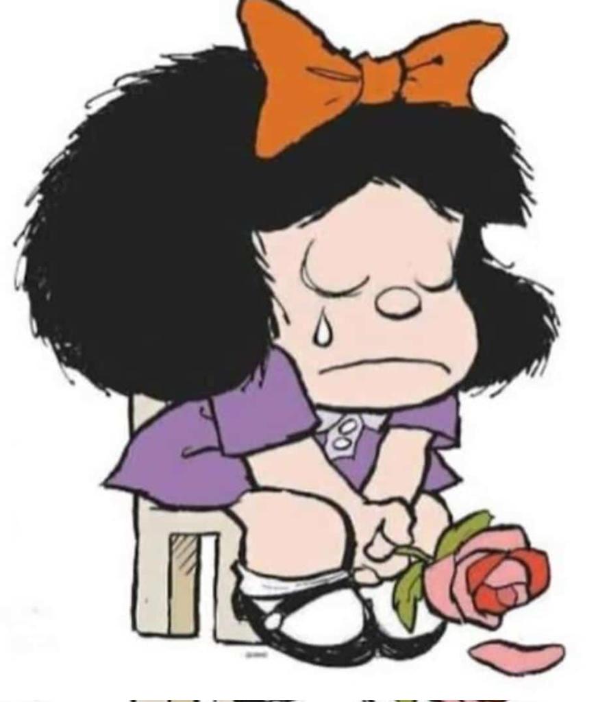 Ganó #Milei, perdió #Argentina. Cosas que pasan cuando la democracia y la historia no se entienden.
.
.
.
Siento pena por #Mafalda y todos los que ella representa.