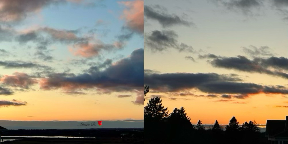 Wishing you a beautiful day/evening/night from my home to yours.🥰
They say “keep your friends close &amp; your enemies closer.” But I say “keep your friends close &amp; walk away from your enemies.” The best revenge is happiness.
"A faithful friend loves to the end." Unknown My📸