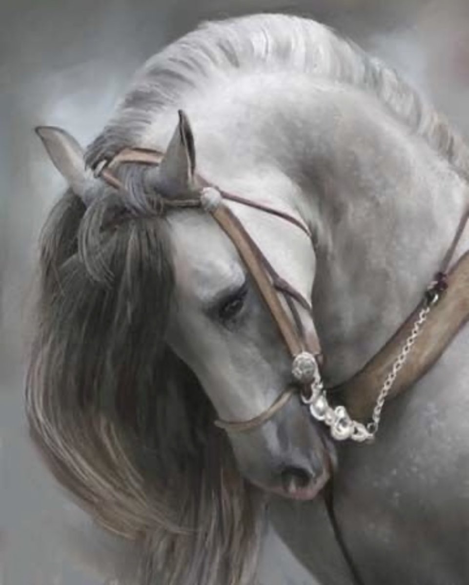 ro7ee_q8's tweet photo. فقل لطَبيبِ الحُبِّ إِن كانَ صادِقًا
بِأَيِّ الرقى تَشفي الفُؤادَ المُتَيَّما  .. https://t.co/jUTIZL6f1i