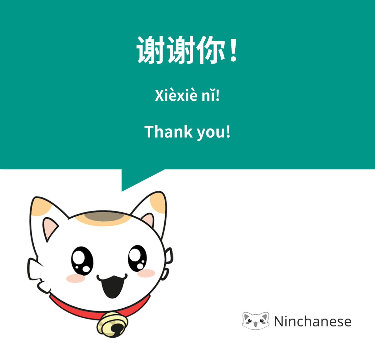 Ninchanese's tweet photo. 谢谢你 for learning Chinese with us! 谢谢你 for liking our daily posts! 谢谢你 for your kindness🐱🌟
#GratitudeInChinese #ThankYouNincha #LanguageOfKindness #SpreadThanks #ChineseCourtesy #NinchaneseGratitude #ExpressThanks #MandarinManners #HeartfeltChinese https://t.co/tx20FYrMOY
