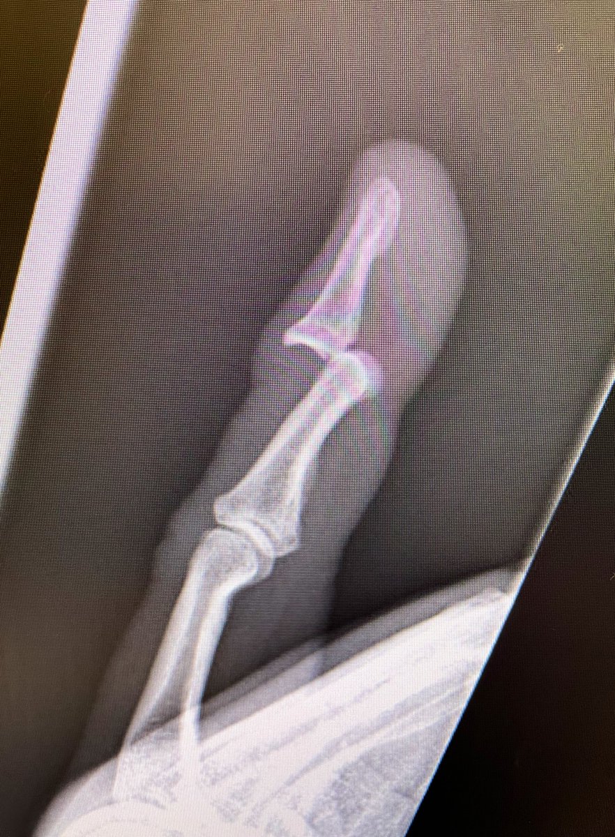 Michael Vrska tweet media