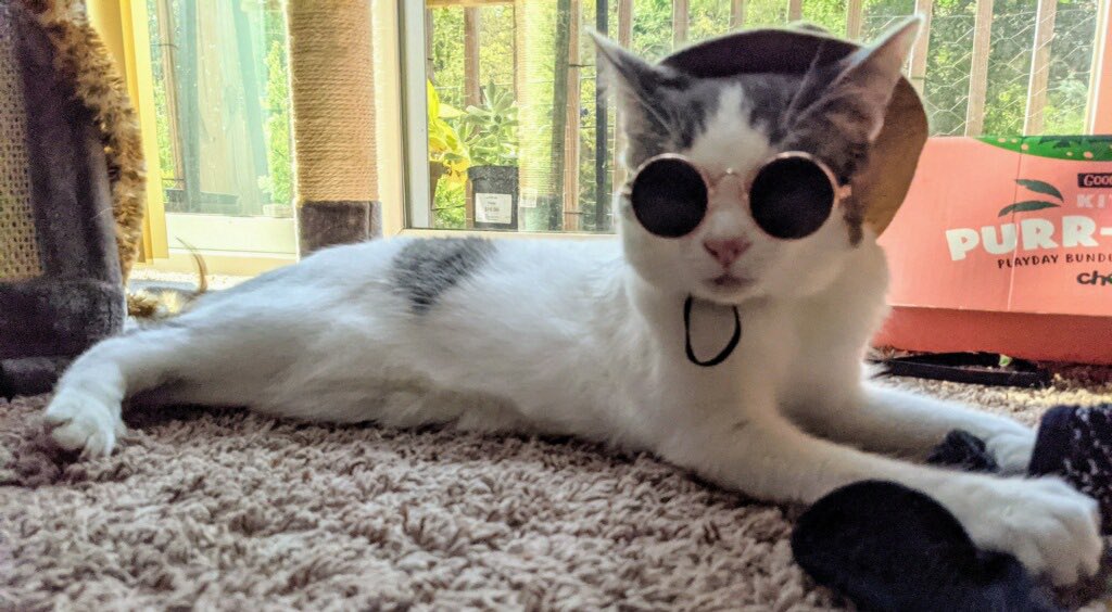 Moe Mijjum tweet media