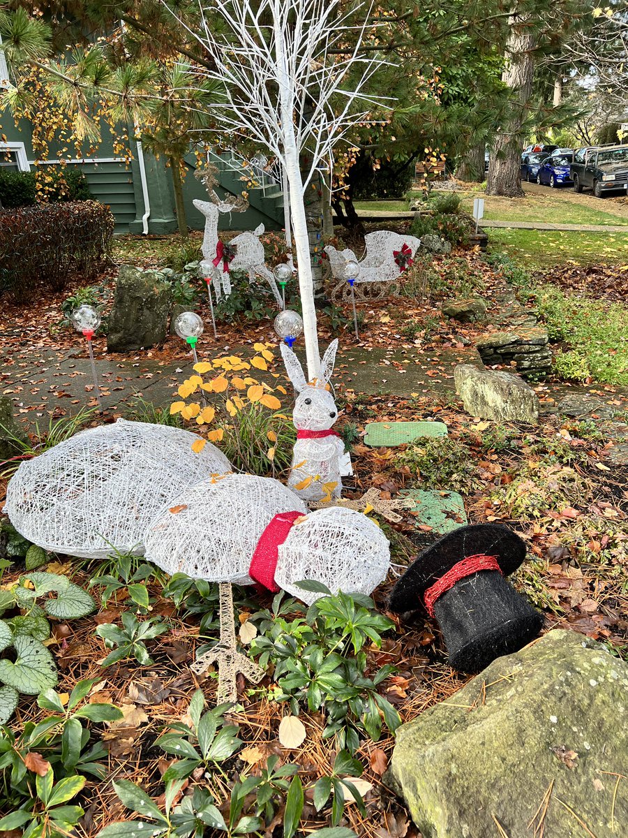 I think the rabbit looks guilty