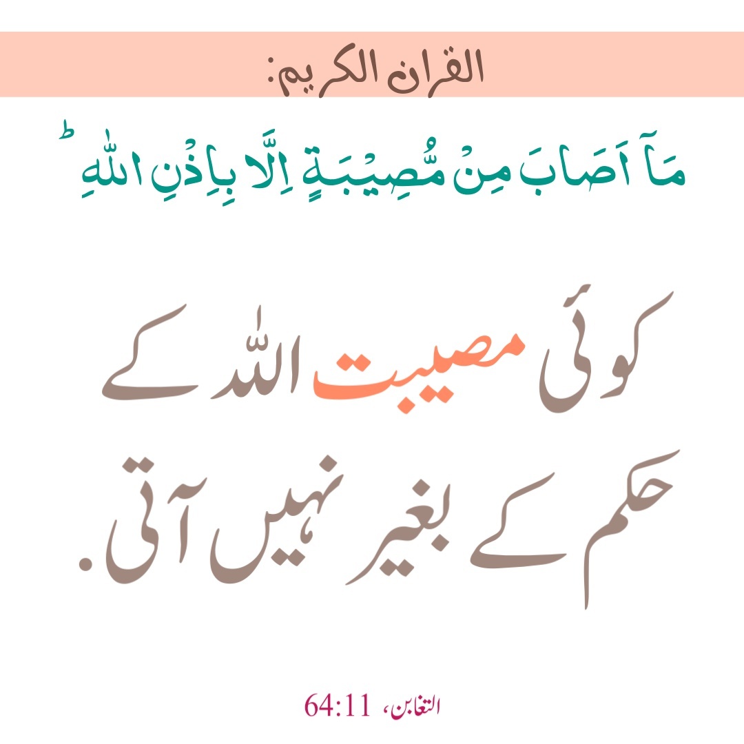 QuraniJawab's tweet photo. https://t.co/DZduBJ8dEQ