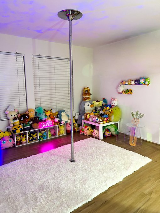 so it turns out you can just order a pole on amazon and set it up in your house and no one can stop you