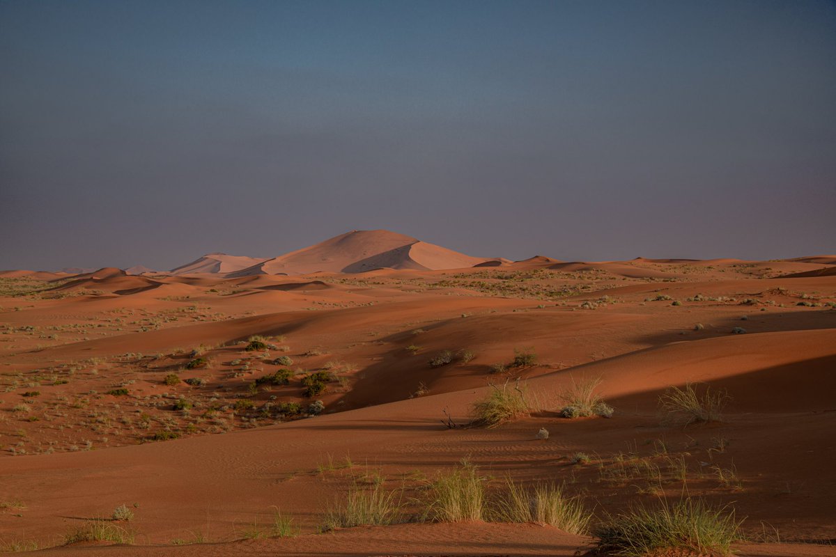 من فوائد الحمايه من الرعي خلال سنوات بسيطه تبين تأثير الرعي على صحارينا والنباتات المنقطعه لسنوات الحمد لله ❤️

*للعلم هذه المناطق قبل مايقارب ال 5 سنوات كان لا يوجد بها نبات وكانت قاحله جداً 

شكراً للقوات الخاصة للأمن البيئي على الجهود المبذوله🙏🏼❤️ <a href="/SFES_KSA/">القوات الخاصة للأمن البيئي</a>