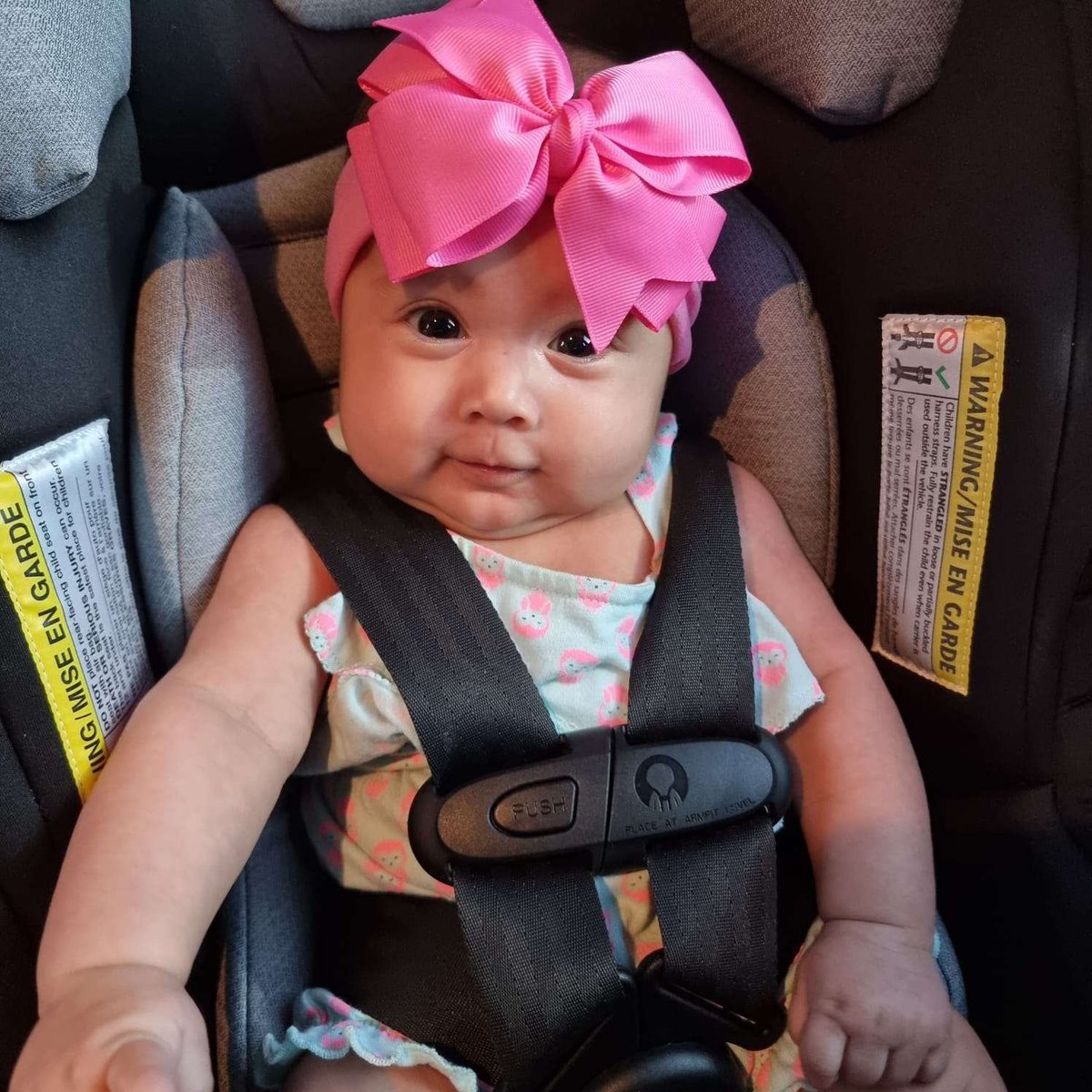 PlaxPokeMax tweet media