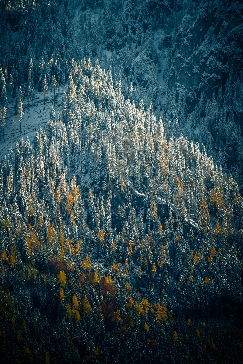 OJ Perry Photography tweet media