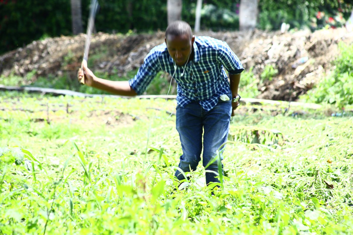 kenaff_farmers's tweet photo. Are limited access to land, difficulty in securing agricultural finance &amp; limited access to markets preventing youth from thriving in agriculture?

Join us during this year's AGM as we address these challenges and ways we can overcome them as young people.

#YouthInAgriculture https://t.co/pOyKnELSU6