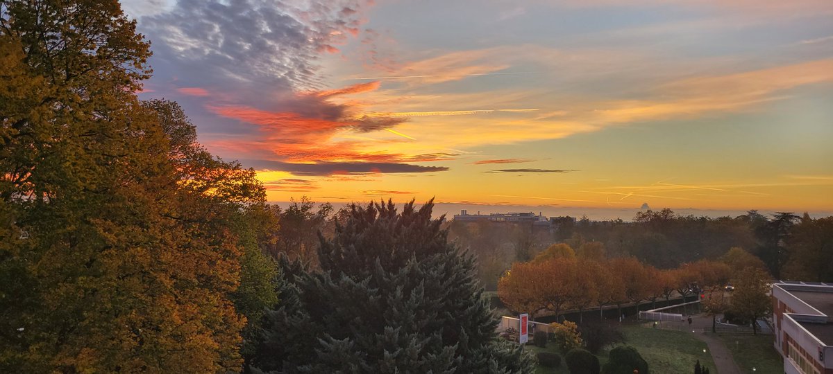 Rising sun at <a href="/EMLYON/">emlyon business school</a>