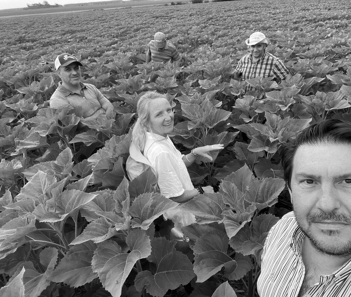 BumperCrop1's tweet image. MAKE AGRICULTURE GREAT AGAIN