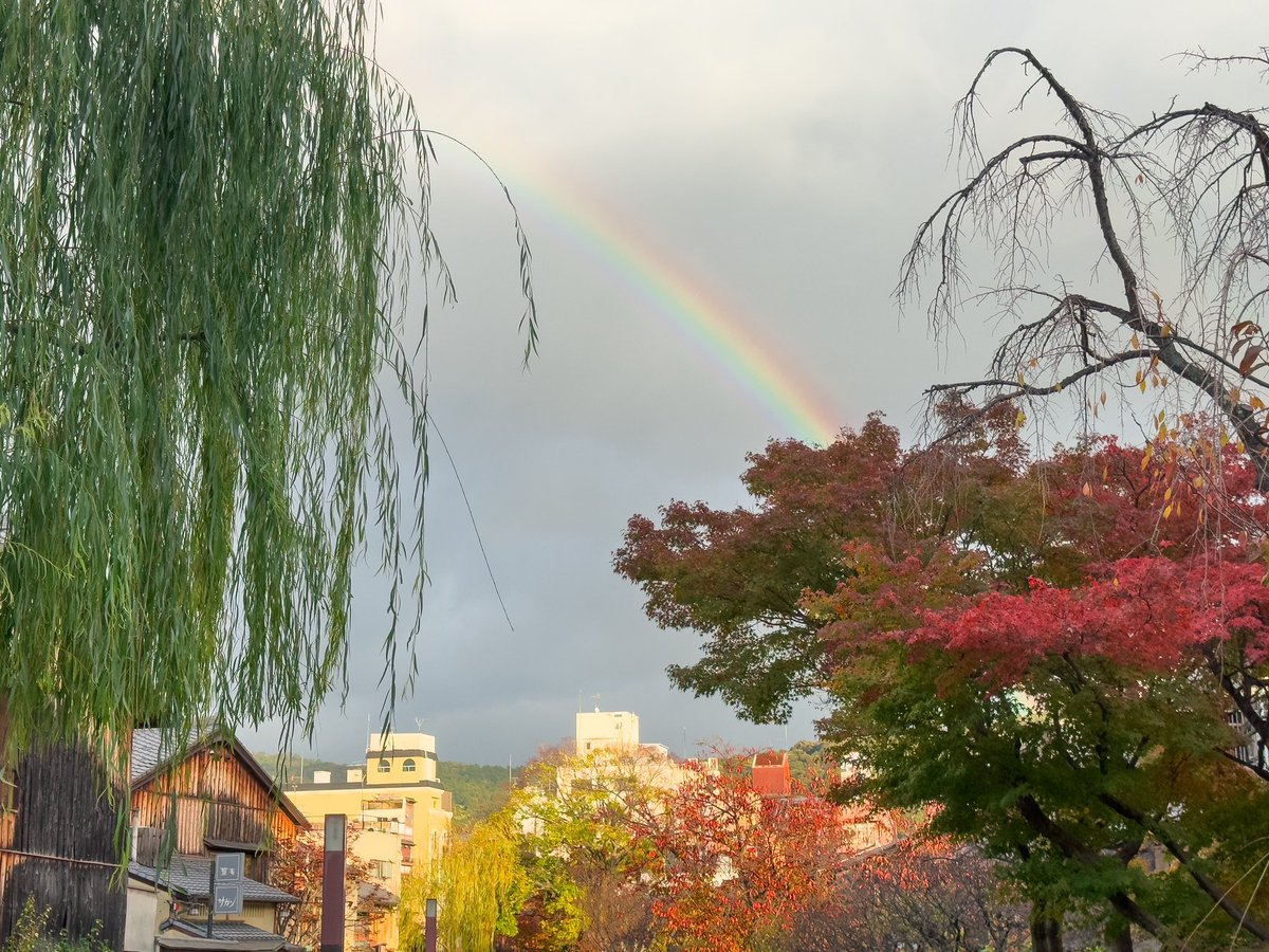 祇園の紅葉と虹✨
