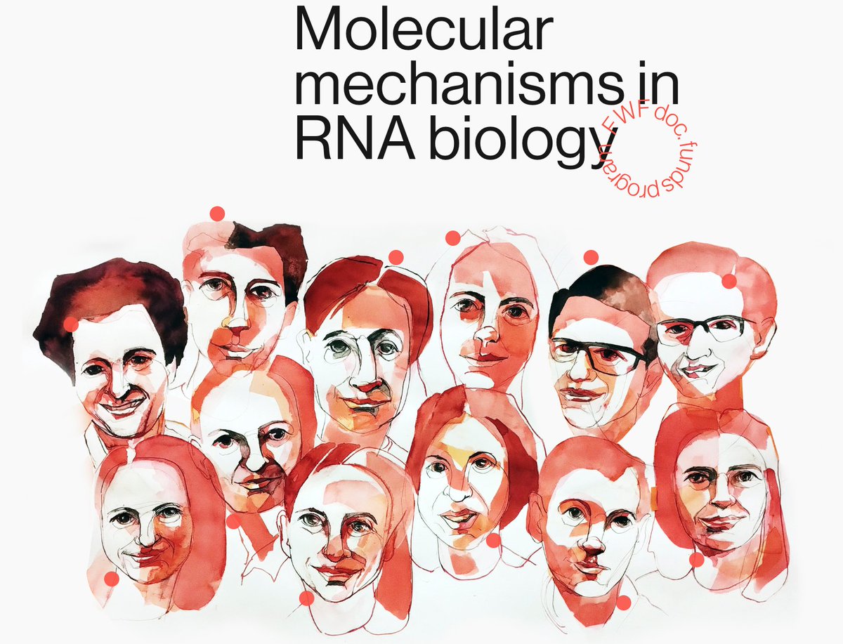 🔬 We are online: rna-core.org. Check out the artsy homepage of RNA@core - a focused doctoral program investigating 'Molecular mechanisms in RNA biology'. #RNA #ViennaBioCenter @MaxPerutzLabs @IMPvienna @gmivienna @IMBA_Vienna @univienna @MedUni_Wien
