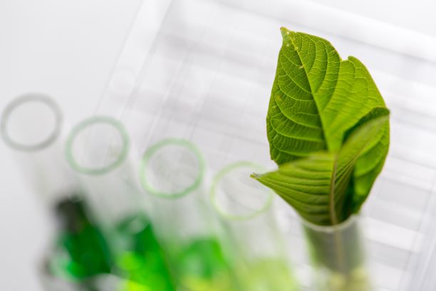 FRACTION_EU tweet media