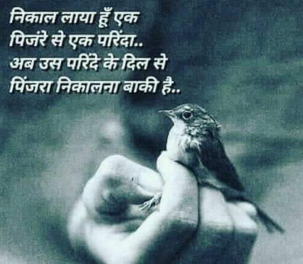 upendra1969's tweet photo. https://t.co/7lTZMVsJuS