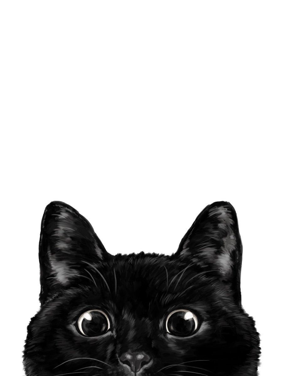Peeking Black Cat

society6.com/art/peeking-bl…

#bignosework #animalportrait #nurseryart #catlover #catlife #catofinstagram #peekinganimals #illustration #walldecor  #procreatedrawing #digitalartist #digitalart #nurserydecor #blackcatsofinstagram #blackcat #blacklove #kidroomdecor