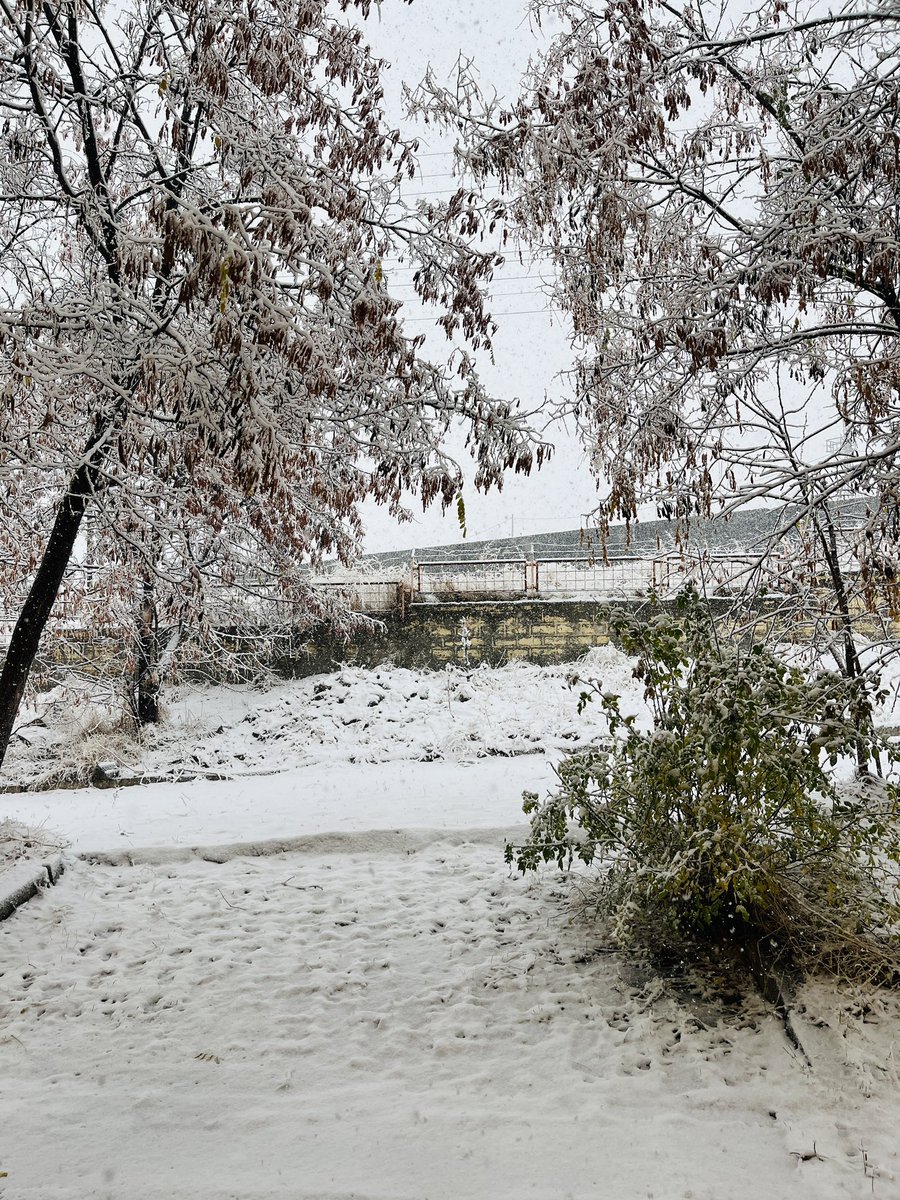 Erzurum/Şenkaya