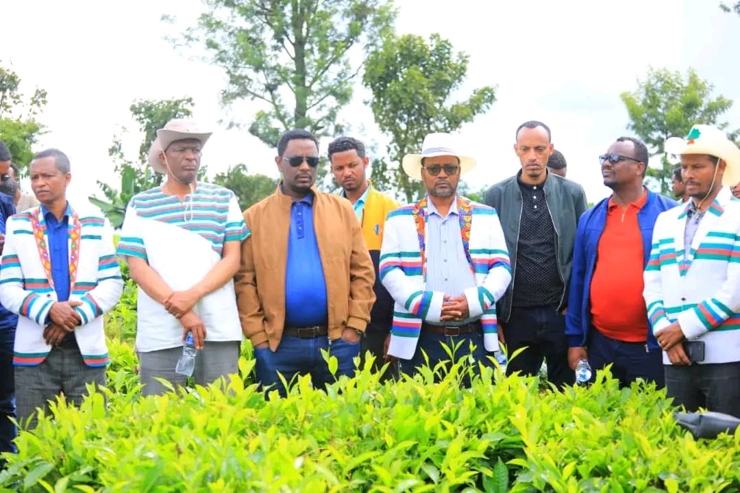 sweprs's tweet photo. በቦንጋ ማዕከል የሚገኙ የሦስተኛው ዙር የአቅም ግንባታ ሰልጠኝ የመንግሥት አመራሮች የተለያዩ የልማት ሥራዎችን ተዘዋውሮ እየጎበኙ ይገኛሉ።
https://t.co/108CZEu3ey https://t.co/IFLw3dP28C