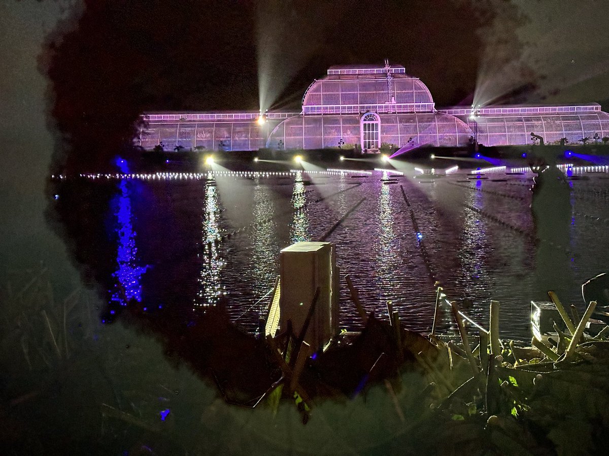 Lovely evening at Kew Gardens yesterday #ChristmasatKew