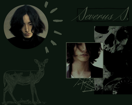 snivvellus's tweet image. ⚝ ⚝ ⚝

․ severus snape
﹕ marauders era
․ multiship w/ heavy chem
﹕ #hprp , #mvrp

       ⚝ ⚝ ⚝