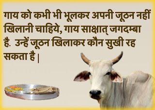 Soni45912315's tweet photo. Sant Shri Asharamji Bapu सत्संग मे बताते हैं देशी गाय के दर्शन एवं स्पर्श से पवित्रता आती है, पापों का नाश होता है । गोधूलि (गाय की चरणरज) का तिलक करने से भाग्य की रेखाएँ बदल जाती हैं ।
#गोपाष्टमी_उत्सव
Gau Pooja
Health &amp; Prosperity https://t.co/sHiygJdJ62