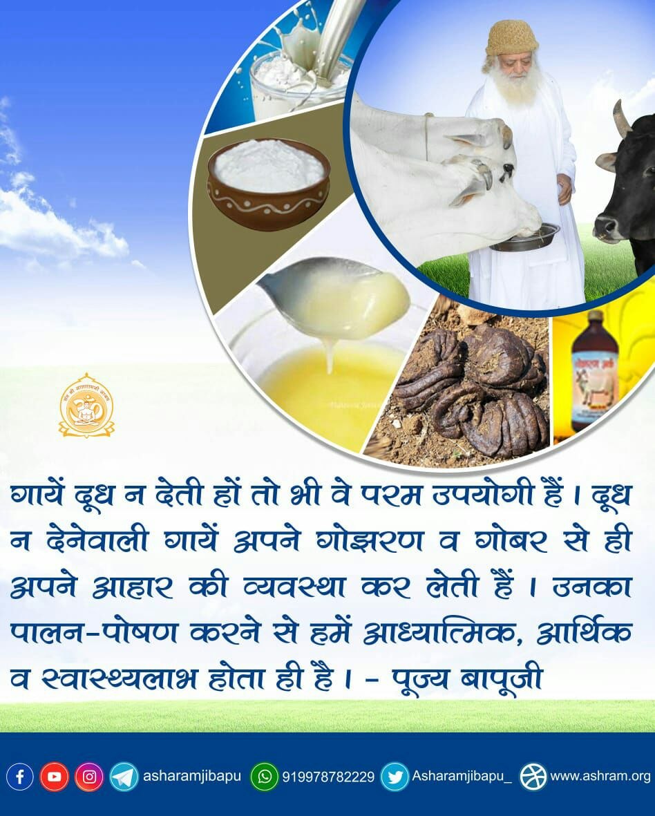 Soni45912315's tweet photo. Sant Shri Asharamji Bapu सत्संग मे बताते हैं देशी गाय के दर्शन एवं स्पर्श से पवित्रता आती है, पापों का नाश होता है । गोधूलि (गाय की चरणरज) का तिलक करने से भाग्य की रेखाएँ बदल जाती हैं ।
#गोपाष्टमी_उत्सव
Gau Pooja
Health &amp; Prosperity https://t.co/sHiygJdJ62