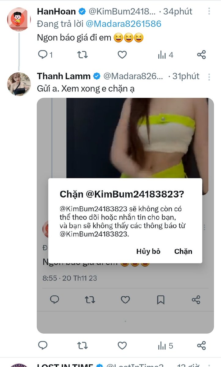 Thanh Lamm tweet media