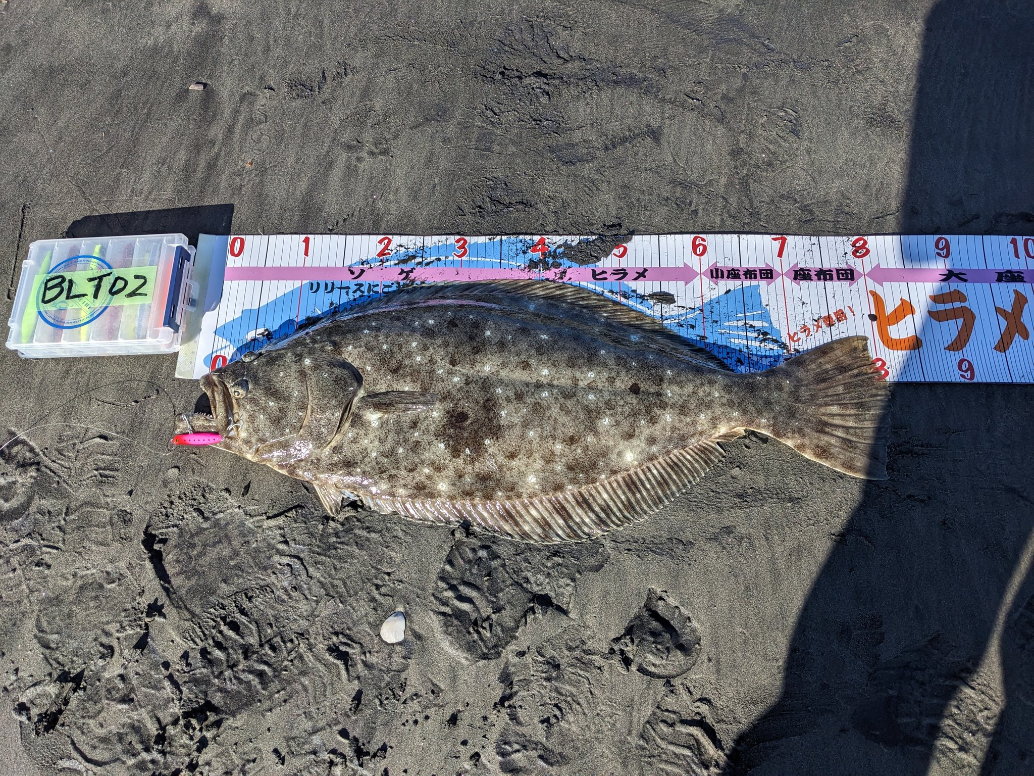 なお吉 (@angler_naokichi) / X