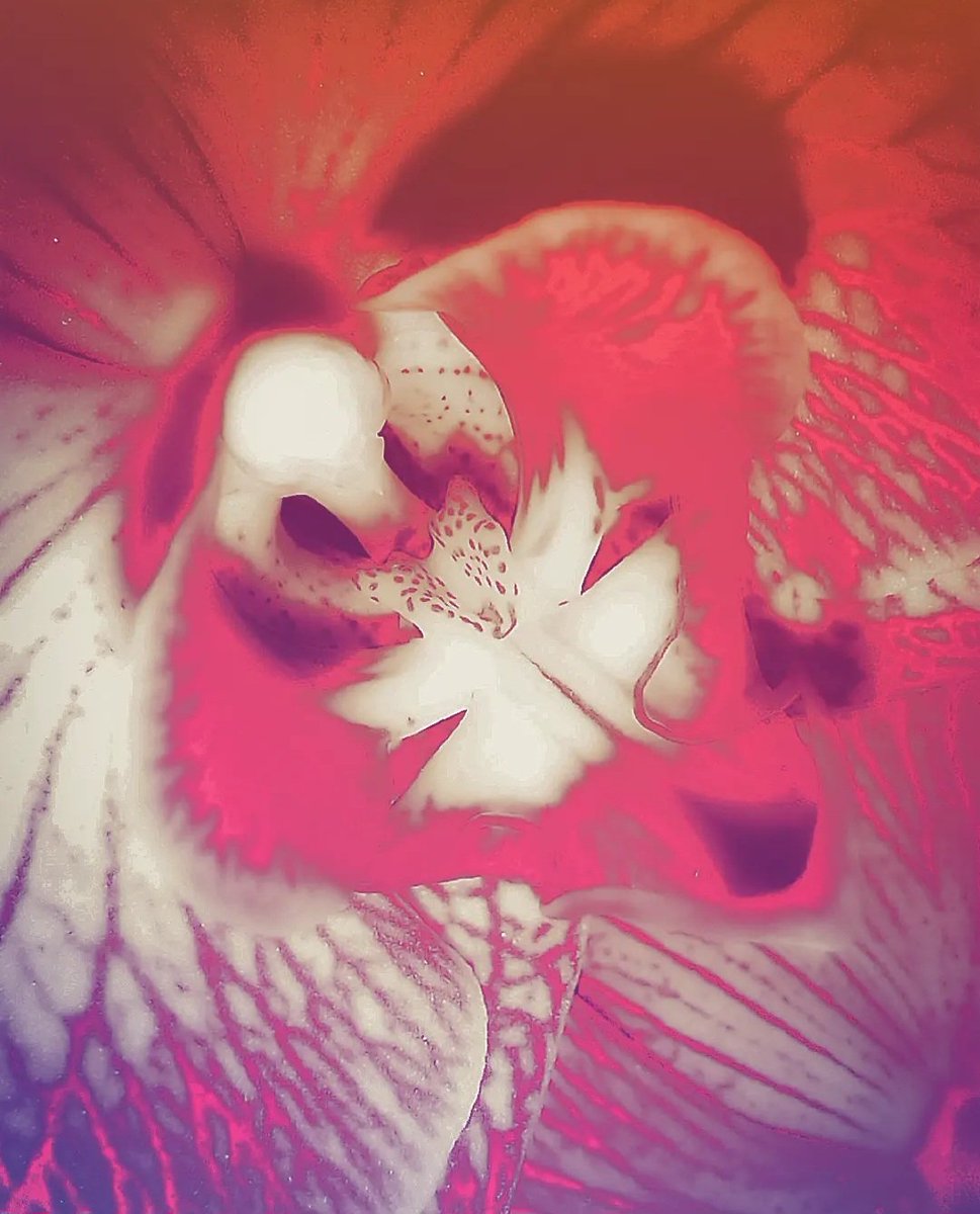 Modestas_Mei's tweet image. 