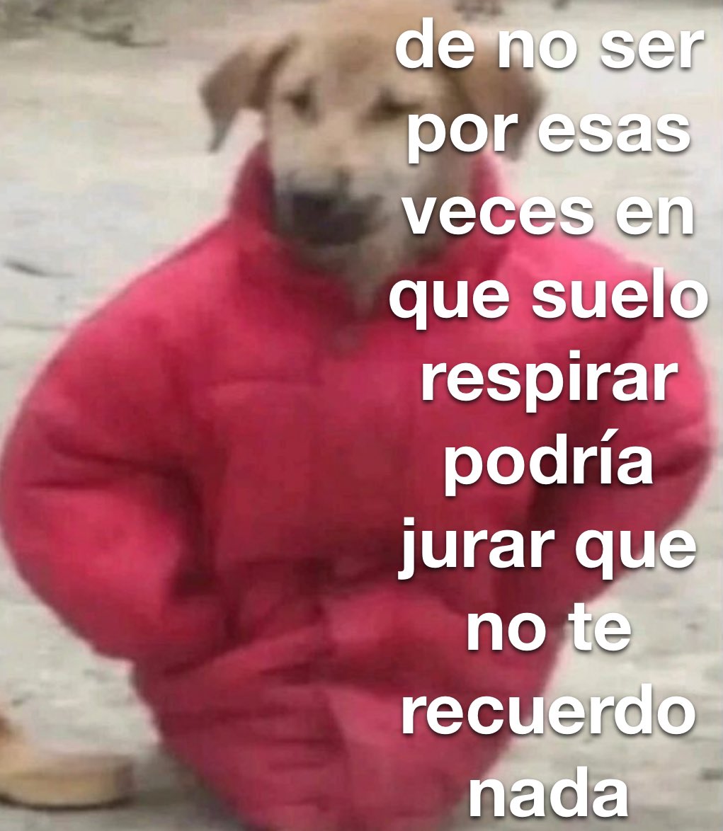 conoloracigarro's tweet photo. de no ser por esos veces en que cometo la gran estupidez de no olvidar https://t.co/2QHdgOZANq