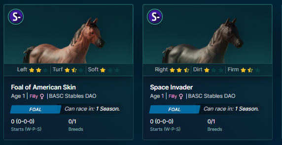 BASC Stables DAO tweet media