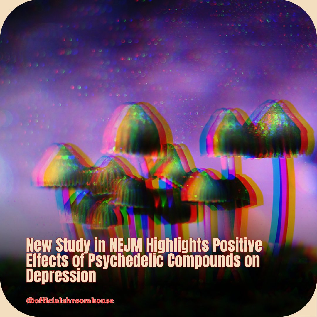 New England Journal of Medicine study reveals groundbreaking outcomes in treating treatment-resistant depression with psilocybin. Microdosing shows promise, with 29% achieving remission in high-dose group. 🍄💡 #PsilocybinStudy #DepressionTreatment #Microdosing