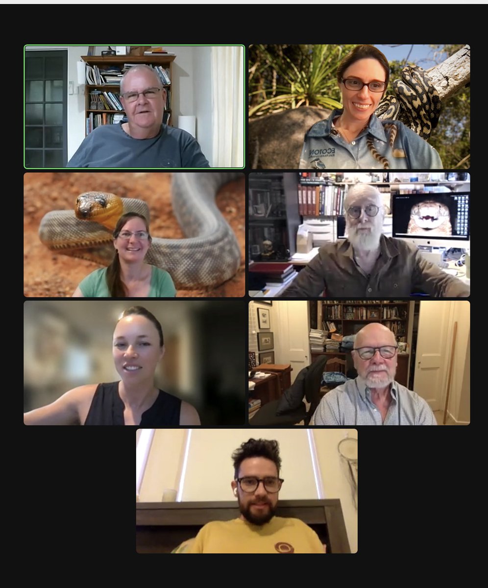 IUCN Snake Specialist Group (@iucn_ssg) on Twitter photo Another productive region-specific meeting the other week! <a href="/IUCN/">IUCN</a> Oceania Snake Specialist Group.
Clockwise: Gavin Bedford, <a href="/CNZdenek/">Christina N. Zdenek, PhD</a>, Mark O' Shea, Rick Shine, Chris Jolly, Jessica Lyons, & our local leader Melissa Bruton. Discussing progress, projects, conferences, & funding. Another productive region-specific meeting the other week! <a href="/IUCN/">IUCN</a> Oceania Snake Specialist Group.
Clockwise: Gavin Bedford, <a href="/CNZdenek/">Christina N. Zdenek, PhD</a>, Mark O' Shea, Rick Shine, Chris Jolly, Jessica Lyons, & our local leader Melissa Bruton. Discussing progress, projects, conferences, & funding.