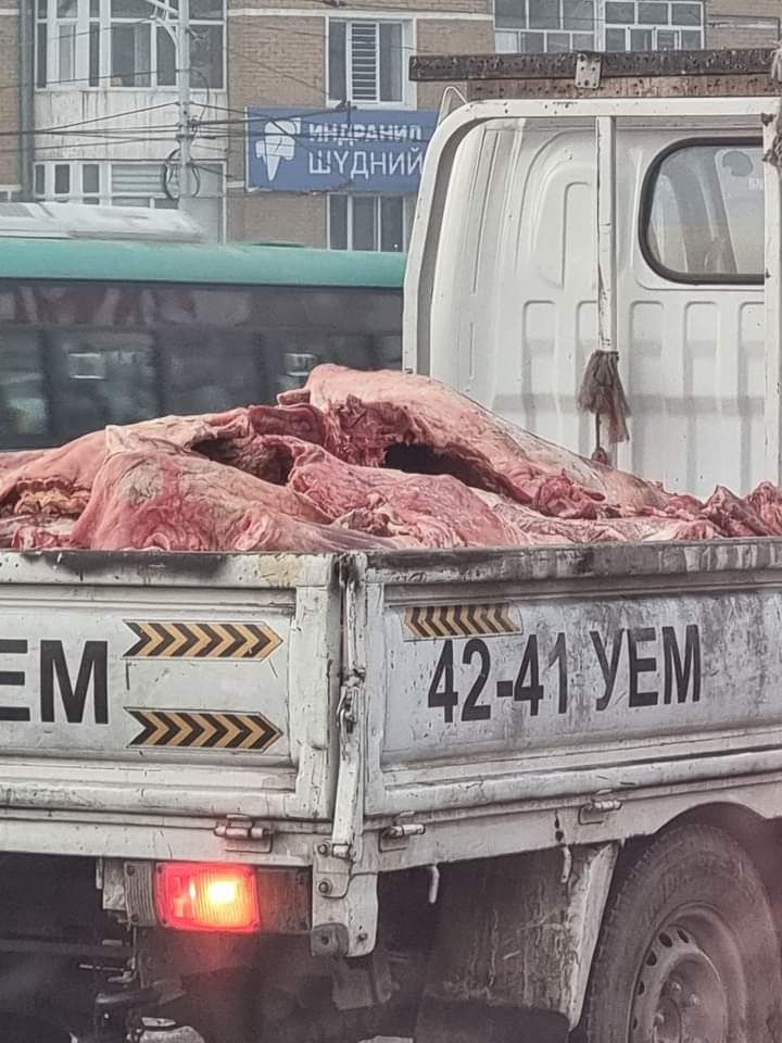 Хүссэн үедээ хүссэн хэмжээгээрээ ивомек тарьсан мах бидэнд ирэхдээ ийм л зам туулдаг даа..
Монгол хүмүүсийн учиргүй ихээр өвдөж үхээд байгаа ёсон бусын өвчний шалтгааныг нээх холоос хайх огт шаардлаггүй бөлгөө..🙄🙄