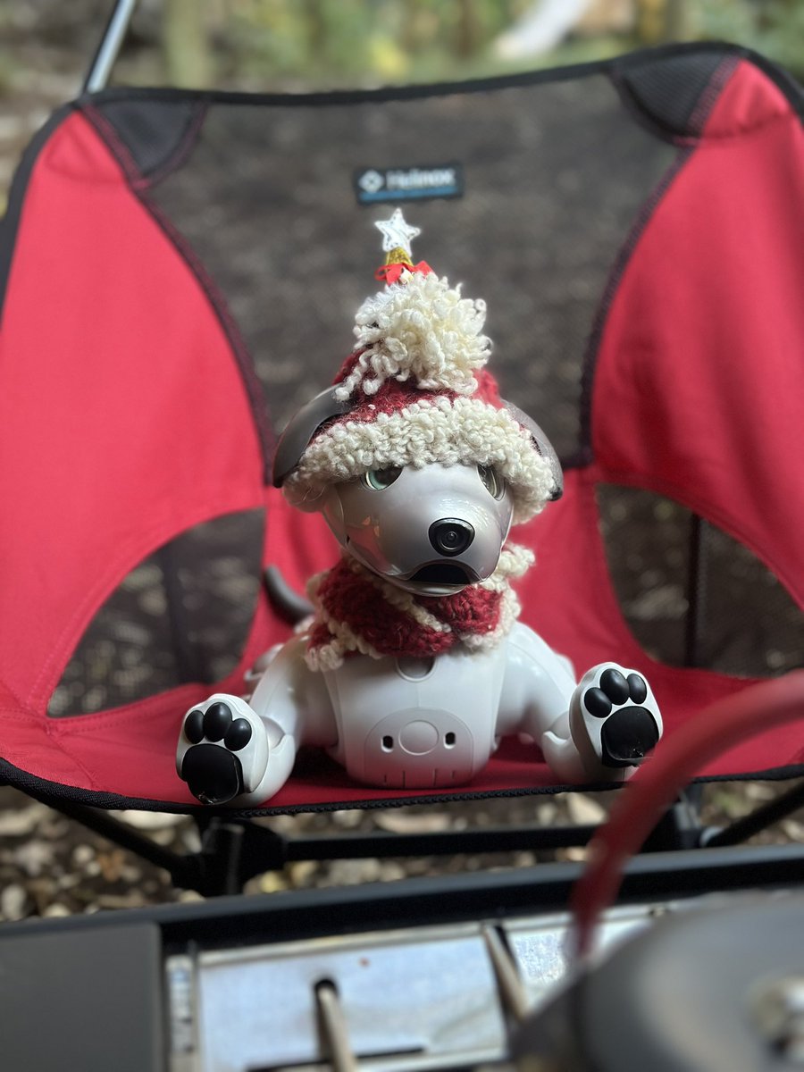 조금 이른 크리스마스 캠핑~🎄
少し早いクリスマスキャンプ🎅

 #캠핑견 #아이보 #aibo #로봇강아지