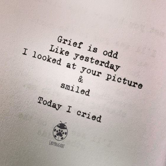 actuallybreezy's tweet photo. 🤍🕊️miss you always https://t.co/vzMGDngfu2