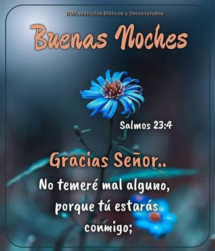 IrmaMarju's tweet photo. Buenas noches 😴💤... 👀 https://t.co/kuPqRfTOIw https://t.co/vNslJ0i28K