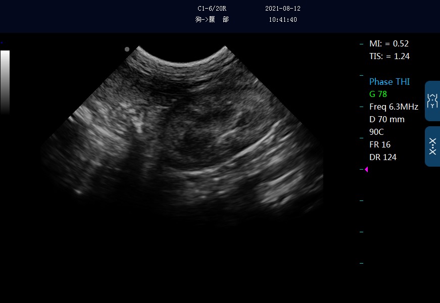 Yaren_Dawei's tweet image. #Dawei #Veterinary #ultrasoundscanner #MU15 model
15 inch color LCD display
Portable and optimization
One-key calls for case information and entry
B, B/B, 4B, B/M, M
Pulsed Wave Doppler (PW)
THI (Tissue Harmonic lmaging) technology
Lithium battery, 18650 mAH, work for 2-3 hours