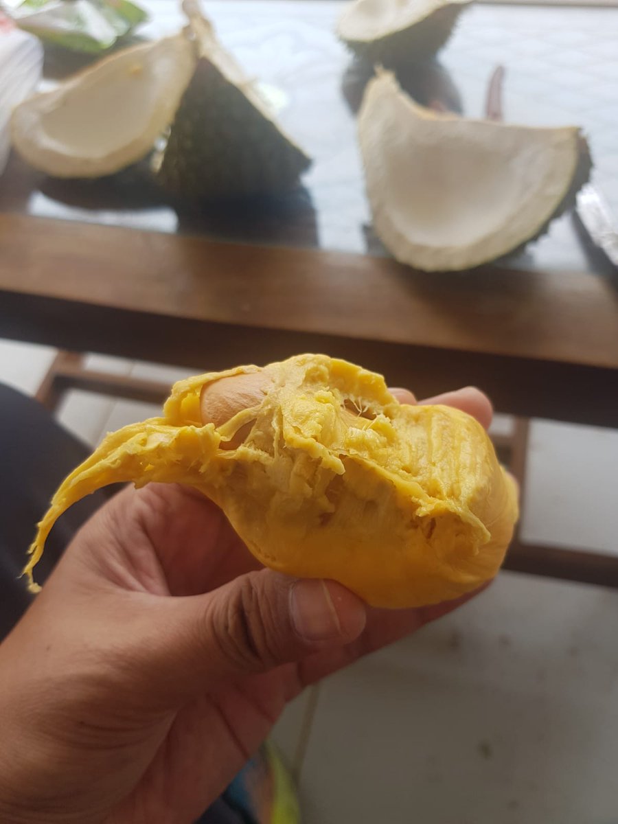 Ochee...#durihitam #ochee