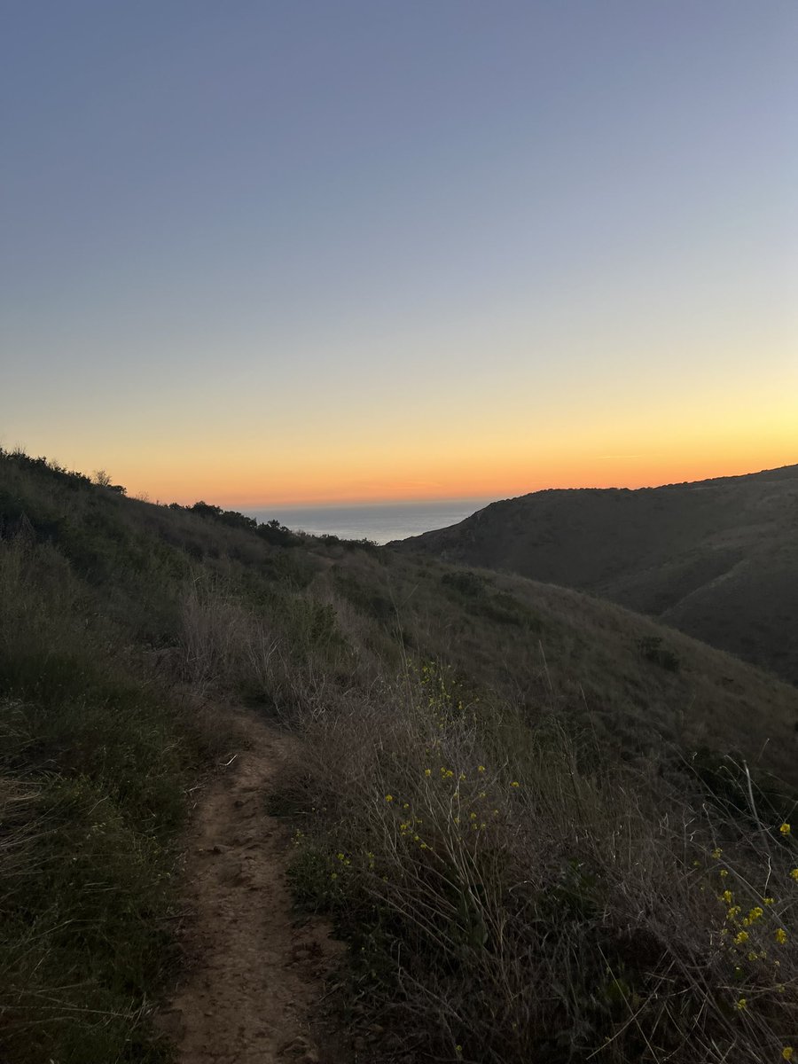 Blue vs. yellow/orange contrast is the fundamental signal for the circadian system/setting and present at circa sunrise and circa sunset. The relevant neurons in the eye are optimally stimulated by that contrast. No it is not present in overhead sunlight. Clouds happen; just get