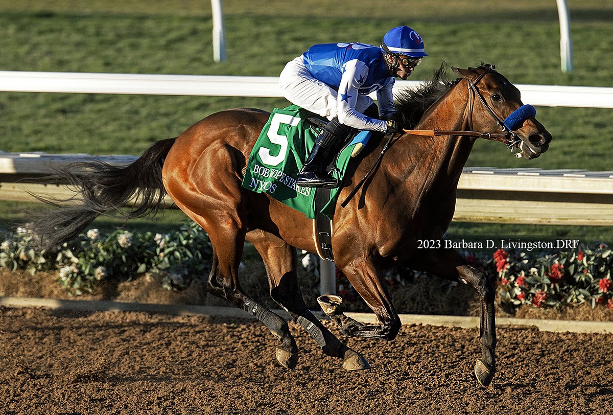 DRFLivingston's tweet photo. NYSOS (2021 Nyquist - Zetta Z, by Bernardini) is now 2-for-2, with an easy win in today's G3 Bob Hope at Del Mar.

The Bob Baffert trainee won his maiden by 10 1/2 lengths on Oct. 21. Today, NYSOS won "handily" by 8 3/4 lengths, Flavien Prat up.

NYSOS ran 7 furlongs in 1:21.71. https://t.co/r1NYoN99wK